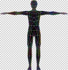 The human body is a single structure but it is made up of billions of smaller structures of four major kinds systems are the most complex of the component units of the human body. Vitruvian Man Human Body Homo Sapiens Drawing Human Miscellaneous Anatomy Arm Png Klipartz