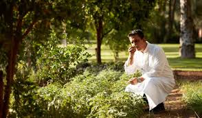 Tipps Fur Den Eigenen Garten Aus Dem Legendaren La Mamounia Geniessen Und Reisen