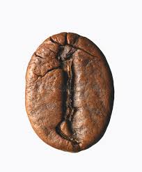 ( 5.0 ) stars out of 5 stars 1 ratings , based on 1 reviews 1 comment Single Coffee Bean Stock Photo Image Of Agriculture Taste 5262956