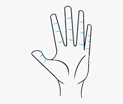 The length of the entire brush can be very different. How To Draw A Hand Really Easy Drawing Tutorial Mensen Easy Simple Hand Drawing Hd Png Download Kindpng
