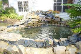 Diy Pond Ponds Backyard Koi Pond Pond