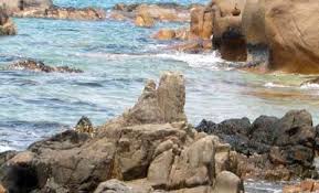 Image result for chua co thach