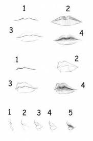 How To Draw Anime Lips Step By Step 17 Best Ideas Lips Drawing Lip Drawing Drawing For Beginners