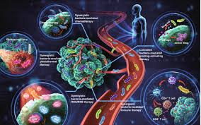 We did not find results for: Bacteria Mediated Synergistic Cancer Therapy Small Microbiome Has A Big Hope Springerlink