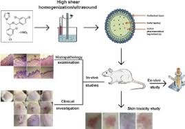 Monistat hair growth reviews and results reveal that it actually works. Influence Of Formulation Variables On Miconazole Nitrate Loaded Lipid Based Nanocarrier For Topical Delivery Sciencedirect