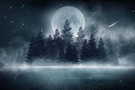 January's full wolf moon reaches peak illumination on thursday, january 28, at 2:18 p.m. Full Cold Moon December 2020 Ask Astrology Blog