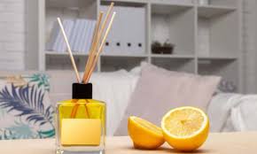 Çiçekler ve bitkiler dünyası 237 views1 months ago. Dogal Oda Kokusu Nasil Yapilir Zararsiz Ve Etkili Temizlik Onerilerim