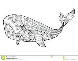 Jonah And The Whale Coloring Page Lovely Coloring Pages Of Blue Whales Amicuscolor Whale Coloring Pages Fish Coloring Page Animal Coloring Pages