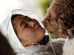 Now that California farms truffles, it needs truffle-hunting dogs, too