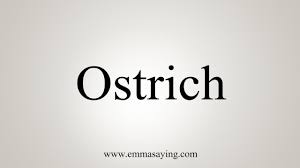 How do you need to be loved? How To Say Ostrich Youtube