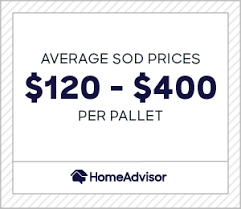 Maybe you would like to learn more about one of these? 2021 Sod Prices Grass Costs Per Pallet Sq Ft Or Roll Homeadvisor