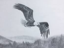 Pencil Bird In Flight Drawing Bald Eagle Flying Graphite Pencil Drawing By Elena Whitman Pencil Drawings Eagle Drawing Eagle Sketch