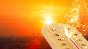 Gefühlte temperaturen um die 45 grad haben in kanada bereits mindestens zehn todesopfer gefordert. Hitzewelle In Kanada Fast 50 Grad Celsius Dutzende Tote Durch Rekordhitze News De