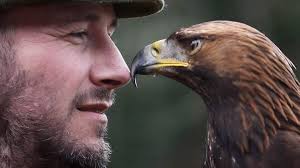 Horsham: Missing Sea eagle found after three weeks
