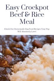 Beef And Rice Crock Pot Homemade Dog Food Recipe Video Your Dog Is Going To Love This Beef And Dog Food Recipes Make Dog Food Homemade Dog Food Vet Approved