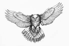 Resultado de imagen de owl illustration tattoo