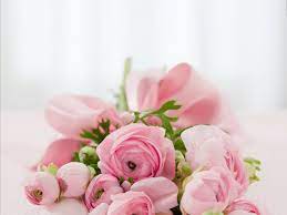 Free Image On Pixabay Bouquet Flowers Roses Beautiful Flowers Good Morning Wishes Rose