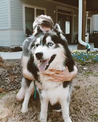 A New Normal by Emily LaRocque