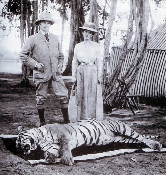 Shooting Tigers in Early 20th-Century India – Imperial & Global Forum