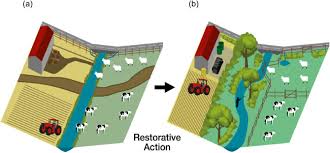Small Water Bodies In Great Britain And Ireland Ecosystem Function Human Generated Degradation And Options For Restorative Action Sciencedirect Pathfinder rpg bestiary 3, p. small water bodies in great britain and