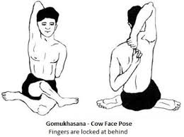 Explain Any Three Asanas Which Are Helpful In Curing Asthma From Physical Education Yoga Lifestyle Class 12