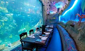 11 Themed Restaurants That Will Transform Your Denver Dining Experience Colorado Vacation Denver Travel Denver Vacation