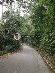 Gunung pulai) is a mountain in kulai district, johor, malaysia. Hutan Lipur Gunung Pulai Recreational Forest Kulai District Johor