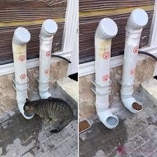 Adding Water Tubes And Dry Food To Feed Stray Cats In Damascus Syria Syriancats Feral Cat Shelter Cat Shelter Cat Diy
