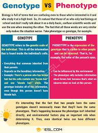 Pin By Learnenglish On Learn English Confusing Words Learning Science Writing Skills