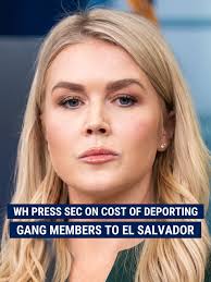 COST EFFECTIVE: Karoline Leavitt says it cost "pennies