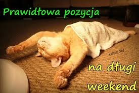 Ze względu na sytuację w kraju, musieliśmy zaplanować. Majowka Memy Artykuly Nowa Trybuna Opolska