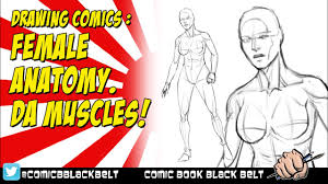 Collection by jim fournier designs • last updated 1 day ago. Drawing Comics Tutorial Female Anatomy An Insight Into My Process For Comic Strip Art Youtube