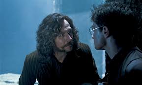 John williams came up with some nice themes and motifs for the series, but i remember the music being really loud and irritating in the first film. Things You May Not Have Noticed About Sirius Black Wizarding World