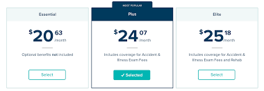 Pets best offers a 5 percent discount off your premiums if you have more than one pet insured with them. Pets Best Pet Insurance Review 2021 Update 365 Pet Insurance