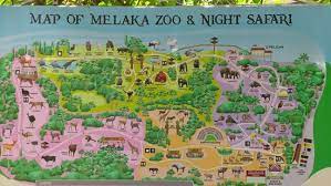 Visited the zoo for its night safari in mid april '15 and there were not many animals to see. Malacca Zoo Melaka Aktuelle 2021 Lohnt Es Sich Mit Fotos Tripadvisor