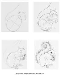 How To Draw A Squirrel Using Construction Drawing Step By Step Animal Drawings Sketches Outline Drawings Realistic Animal Drawings