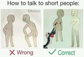 Read our privacy policy and cookie policy to get more information and learn how to set up your preferences. Dopl3r Com Memes How To Talk To Short People 8memes 0 Wrong Correct