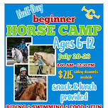 1/2 Day Beginner Horse Camp
