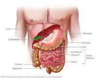 Image result for icd code for inflammatory bowel disease