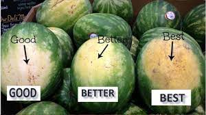 Check spelling or type a new query. How To Pick A Perfect Watermelon The Best Way To Pick A Watermelon Youtube