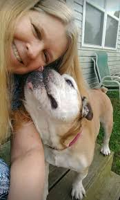 RIP January 11, 2011 to October 15, 2024 Mack the Bulldog shared nearly 14  years of his life with me. We traveled together from Chicago to Seattle a  couple times. Our biggest