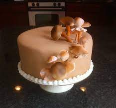 About young jackfruit and water chestnut thai red curry recipe: Mushroom Birthday Cake Cake Cake Designs Birthday Cake Designs