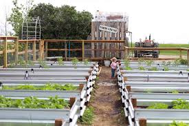 Building Our Raised Beds The Prairie Homestead In 2020 Prairie Homestead Homesteading Garden Tours