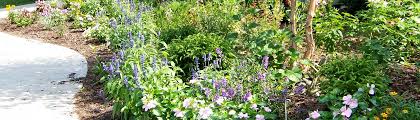 Jul 14, 2021 · beautify your garden or children's play area naturally, use bark nuggets or bark chips as a ground cover, a bark mulch for moisture conservation and weed suppression, bulk up your garden soil or fill your pet's litter box with untreated pine sawdust. Landscape Supplies Compost Bark Chips Mulch Manawatu