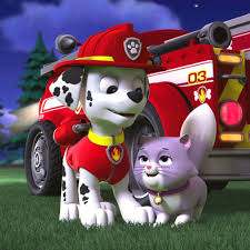 It's time to spot the differences with all your nick jr. Paw Patrol Full Episodes Games Videos On Nick Jr Paw Patrol Full Episodes Paw Patrol Pups Paw Patrol