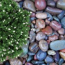 What most people call river rocks, are small rocks. Hopper 1 Cubic Yard Brown River Rock Lowes Com Rock Decor River Rock Landscaping With Rocks