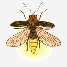 glowing insect firefly flying insects insects fireflies png transparent clipart image and psd file for free download firefly art firefly painting insect art glowing insect firefly flying insects