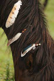 Einfach in der mähne fest machen und staunen wie es dein pferd verschönert. Federschmuck Selber Machen Itsdonkeytimes Webseite