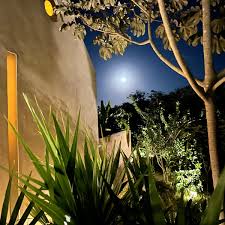 Image result for Galopina