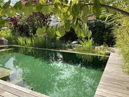 Sonntagsruhe Am Teich Der Treffpunkt Fur Schwimmteich Und Naturpool Freunde Schwimmteich Natur Pool Naturschwimmbecken